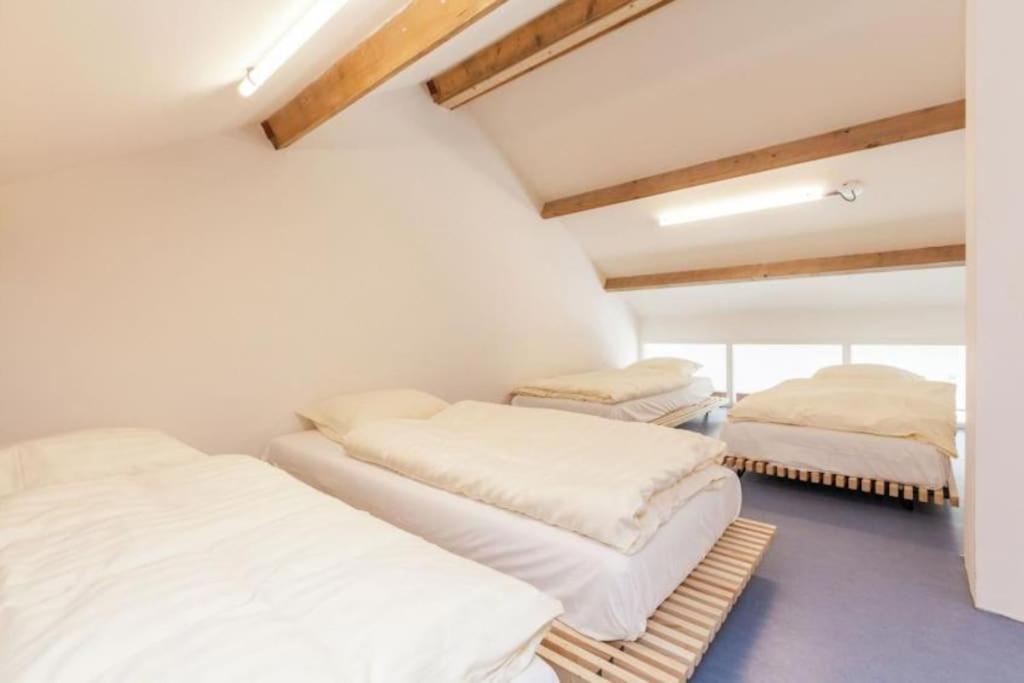 Coccinelle Villa Biggekerke Kültér fotó